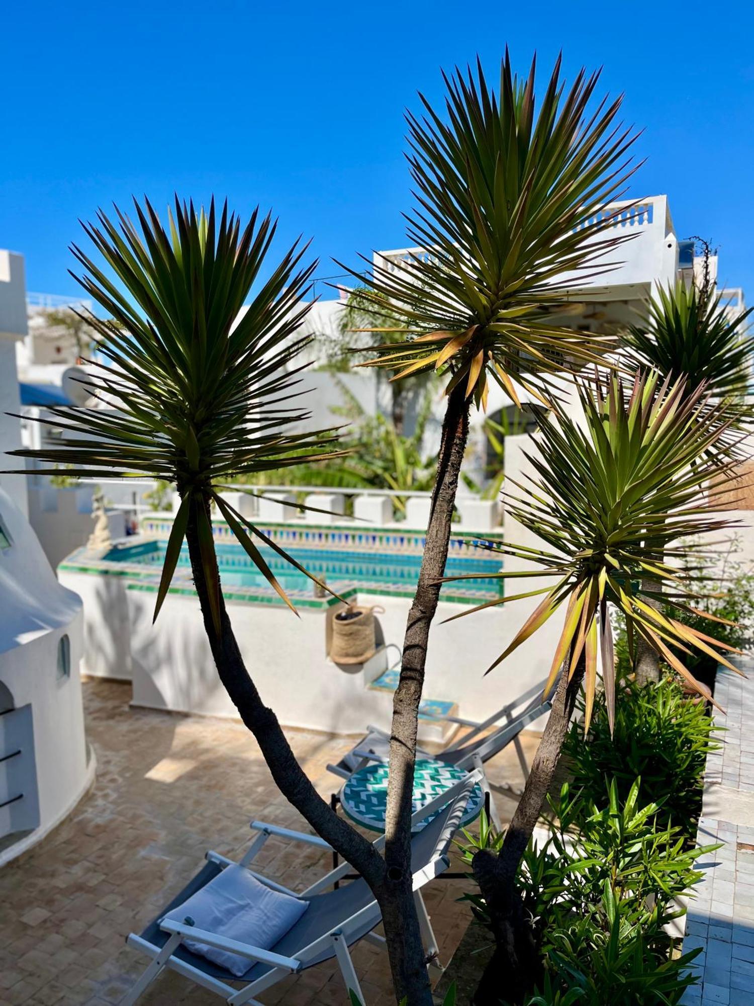 Riad Oasis D'อซิลาห์ ภายนอก รูปภาพ